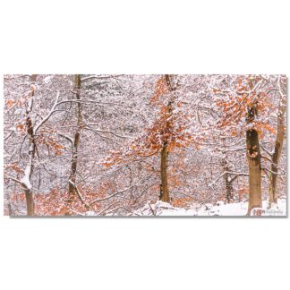 Winterlandschaft in der Moosheide IV