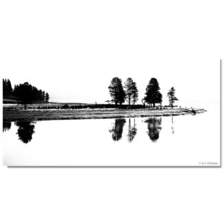 Flusslandschaft, Yellowstone, Wyoming