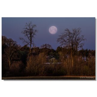 Vollmond