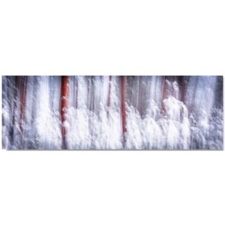 abstrakte Winterlandschaft in der Moosheide V